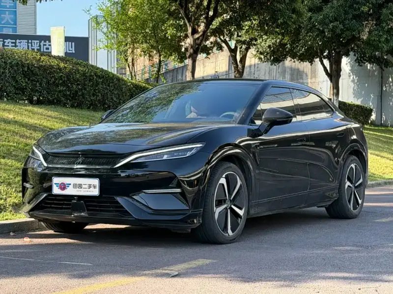 BYD L EV