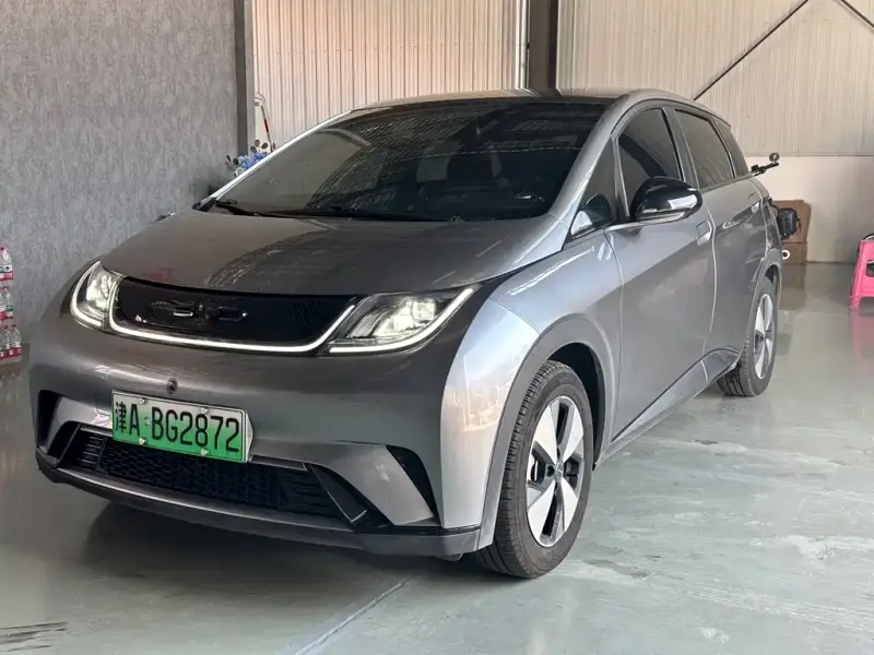 BYD Dolphin