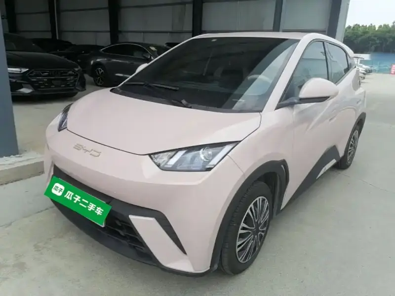 BYD Seagull