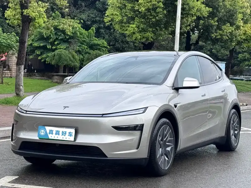 Tesla Model Y L