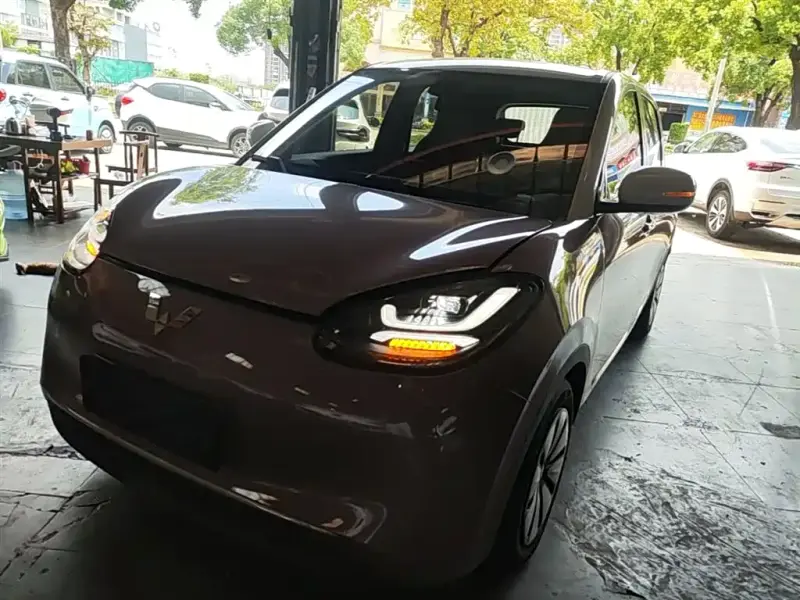 Wuling Bingo