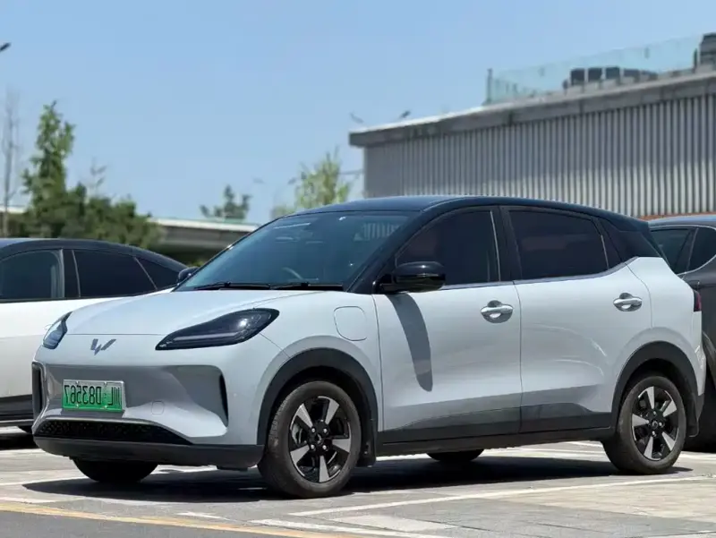Wuling Bingo PLUS