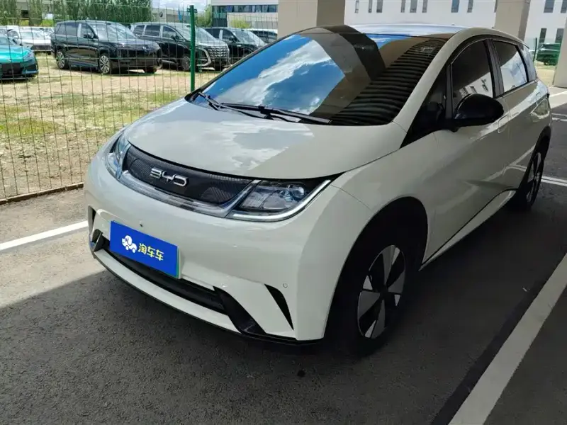BYD Dolphin