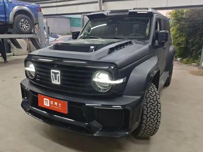 Tank 300