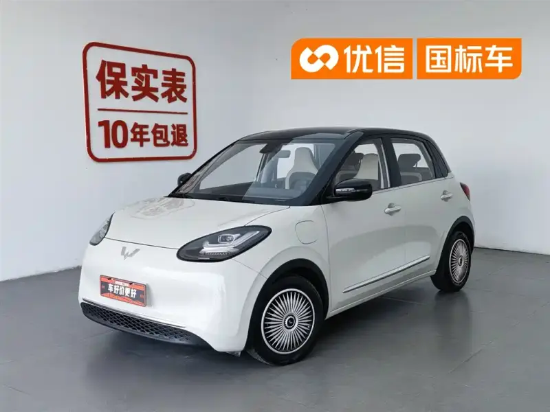 Wuling Bingo