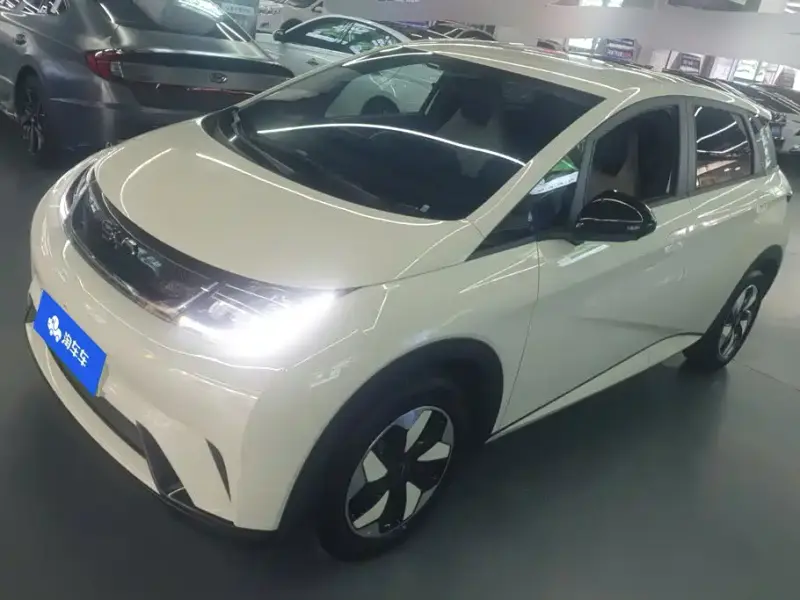 BYD Dolphin