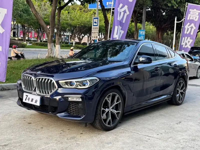 BMW X6