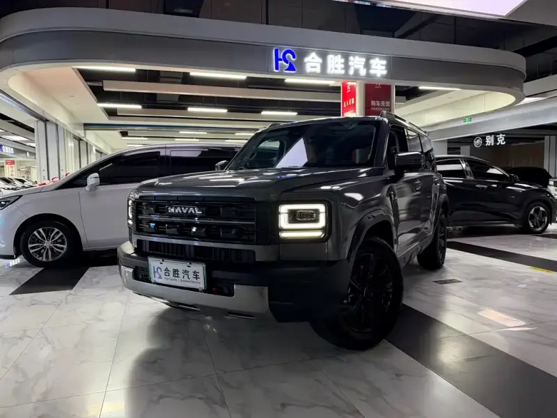 Haval Menglong New Energy