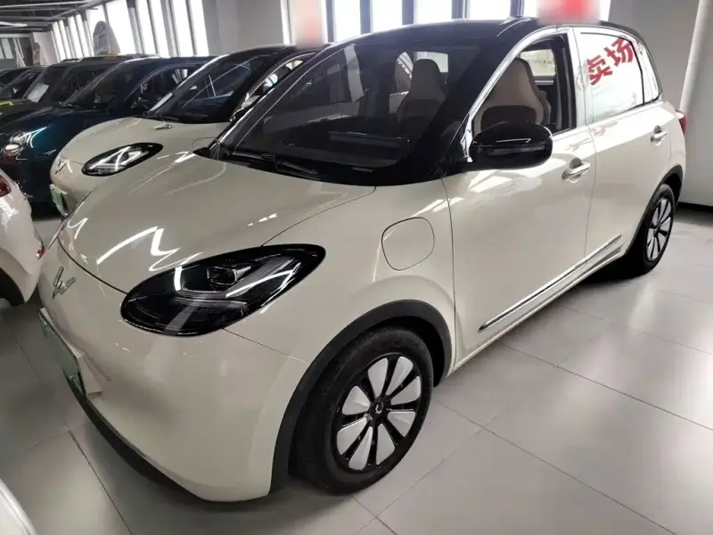 Wuling Bingo