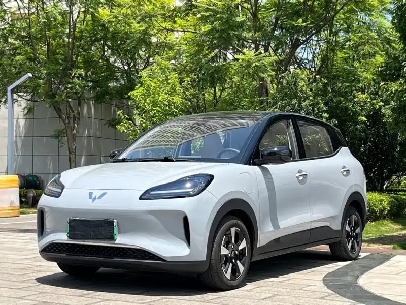 Wuling Bingo PLUS