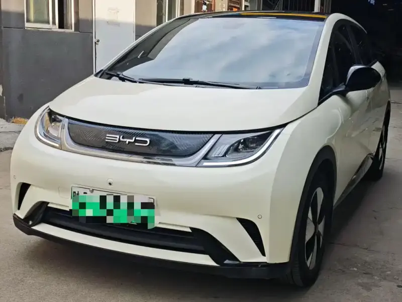 BYD Dolphin