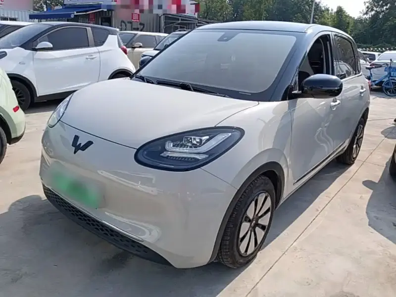 Wuling Bingo