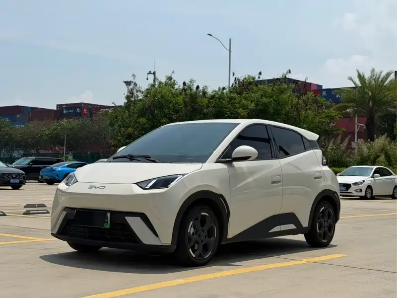 BYD Seagull