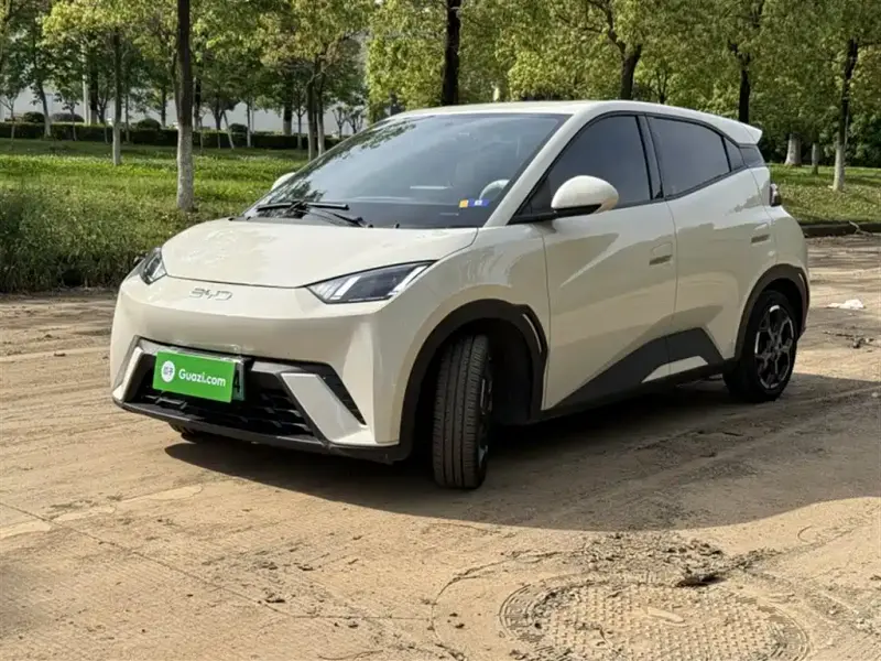 BYD Seagull