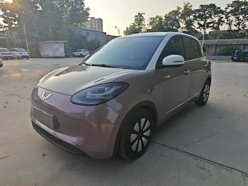 Wuling Bingo