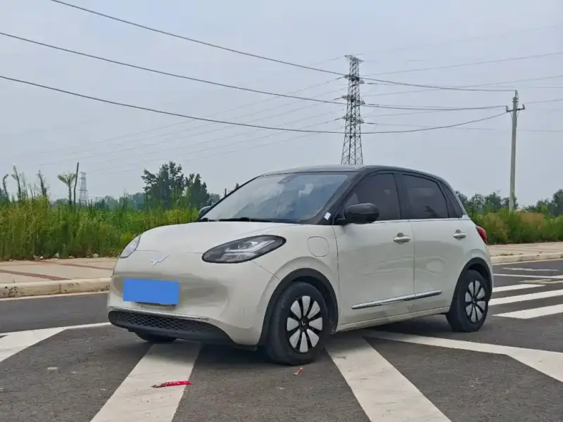 Wuling Bingo