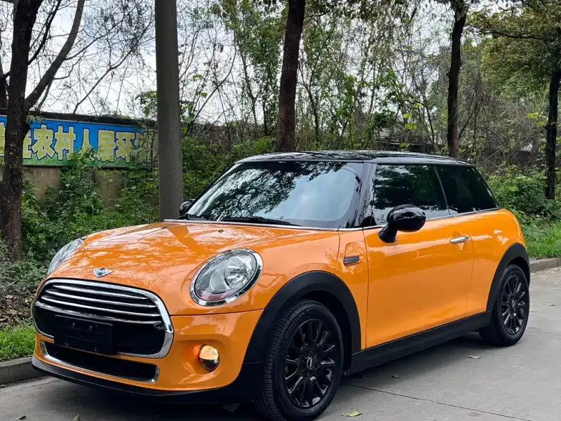 MINI Mini