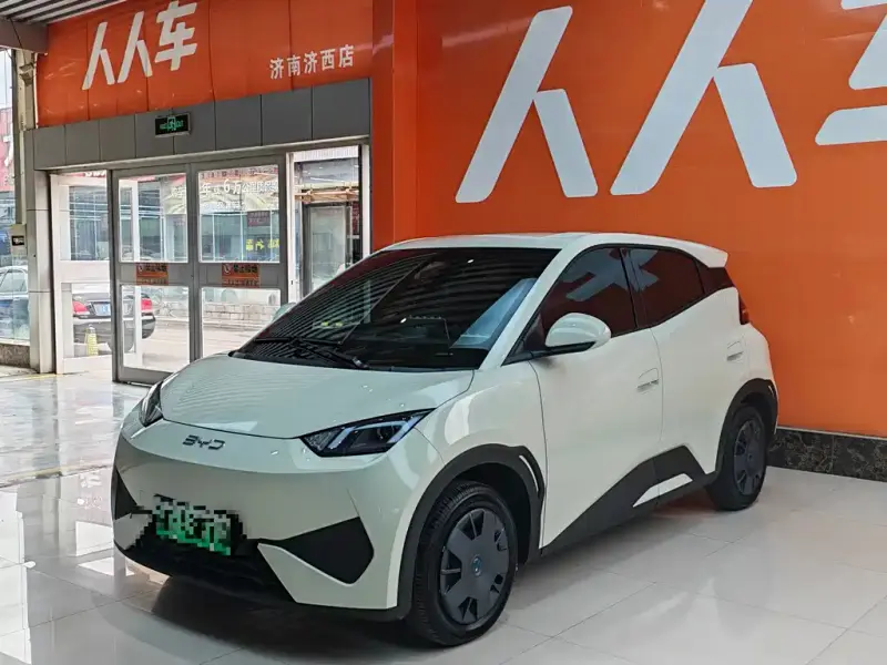 BYD Seagull