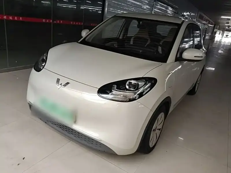 Wuling Bingo