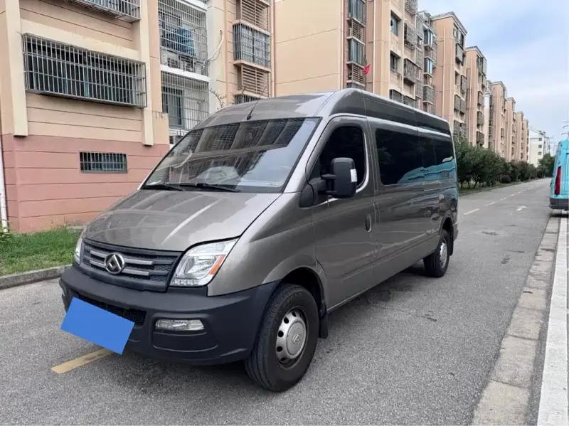 Maxus V80