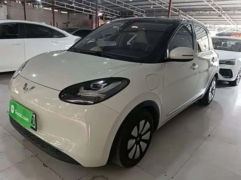 Wuling Bingo