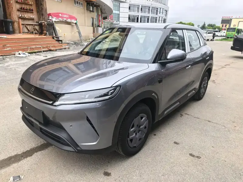 BYD Atto 2 (Yuan UP)