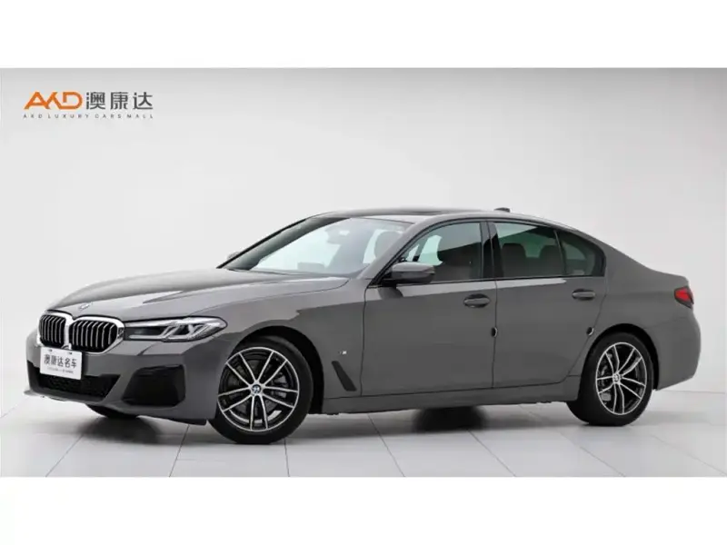 BMW 5 Series (Import)