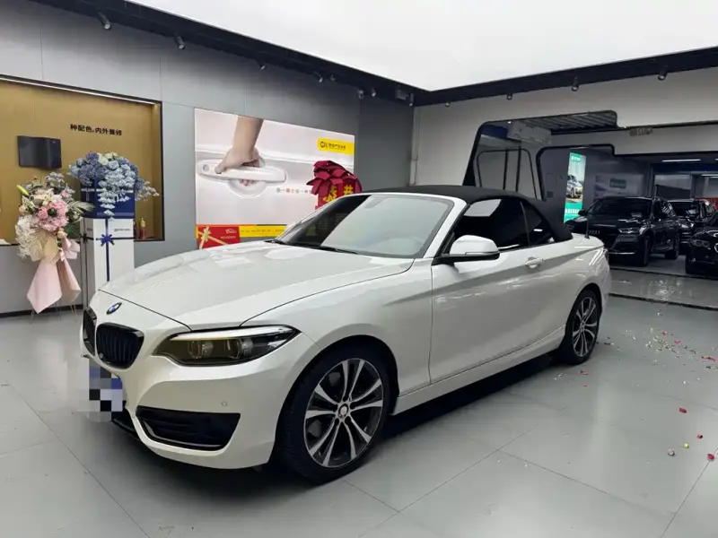 BMW 2 Series (Import)
