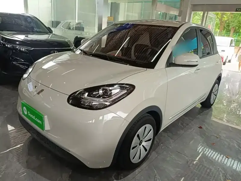 Wuling Bingo