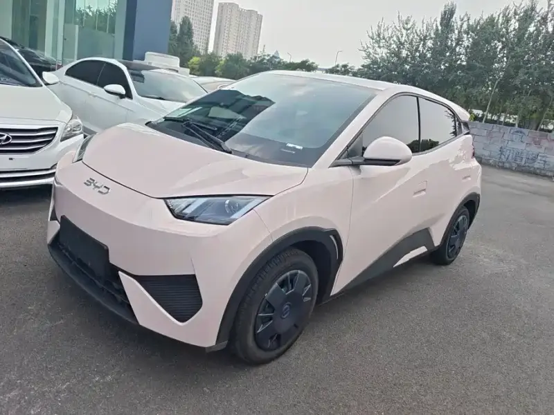 BYD Seagull