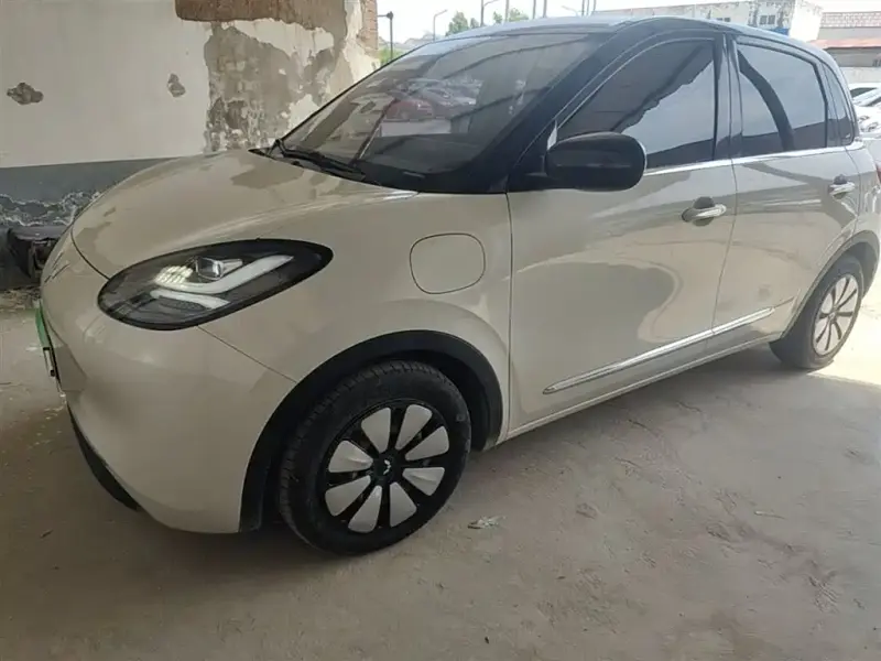 Wuling Bingo