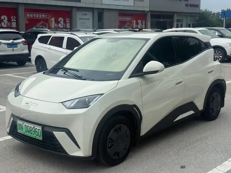 BYD Seagull