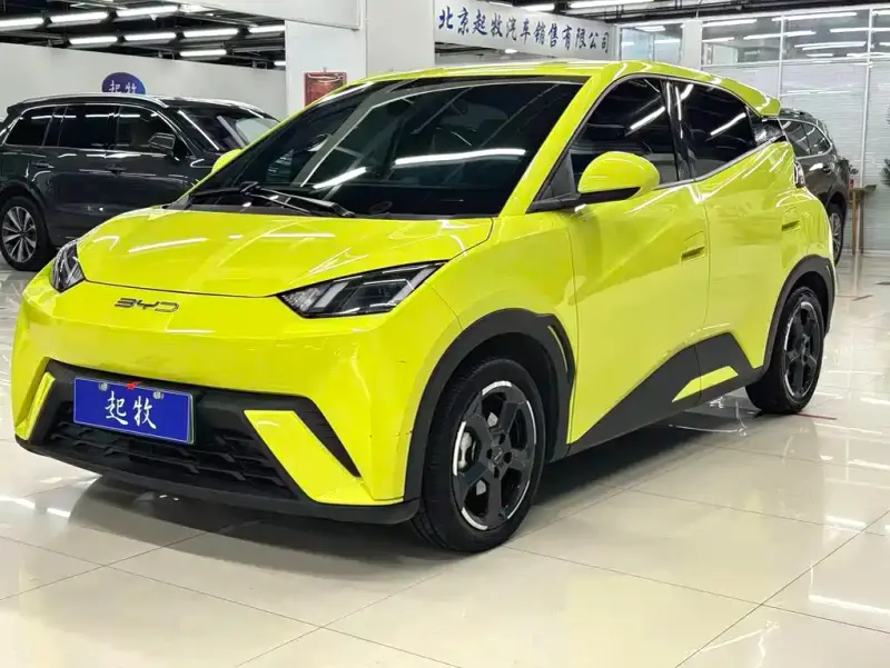 BYD Seagull