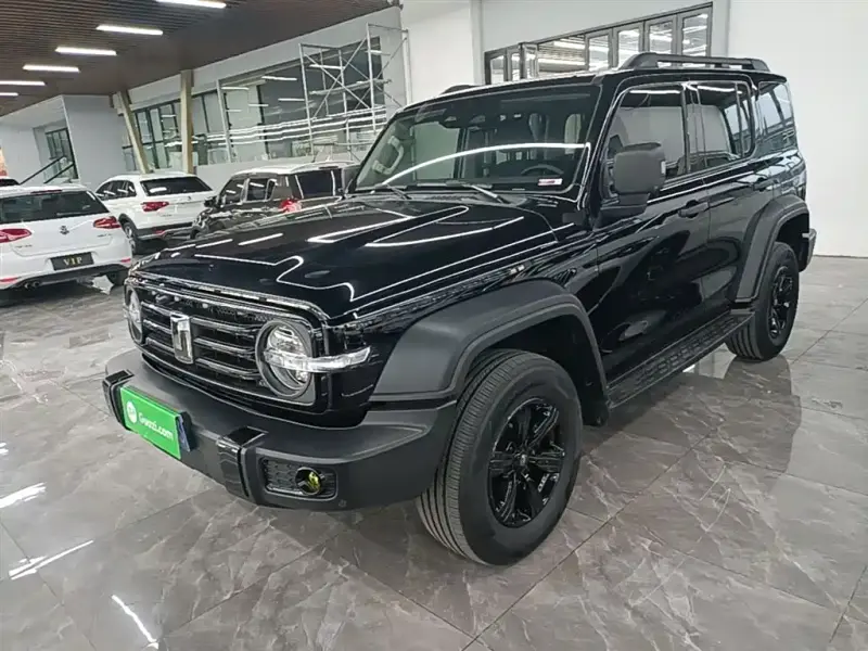 Tank 300