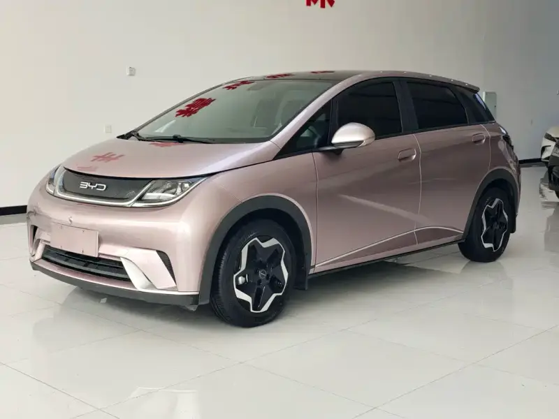 BYD Dolphin