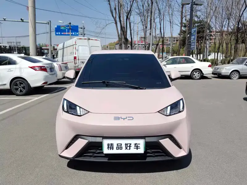 BYD Seagull