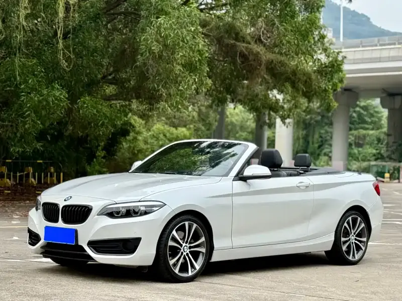 BMW 2 Series (Import)