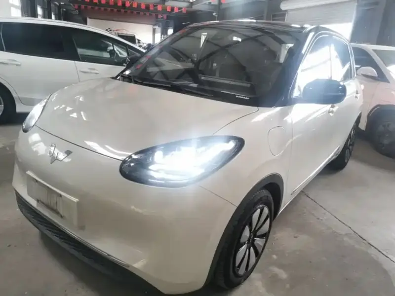 Wuling Bingo