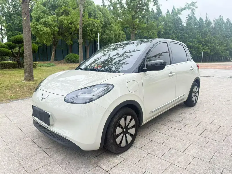 Wuling Bingo