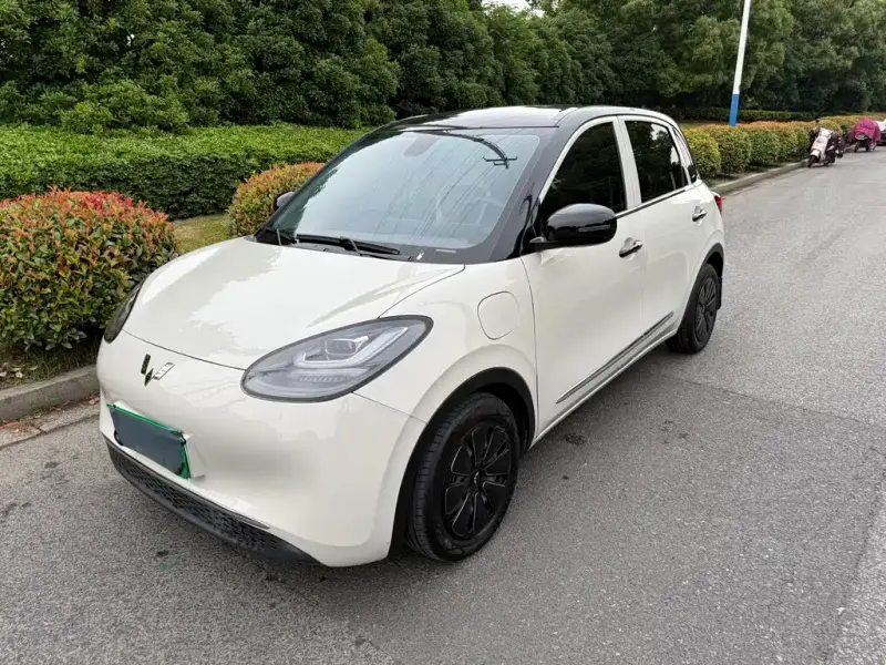 Wuling Bingo
