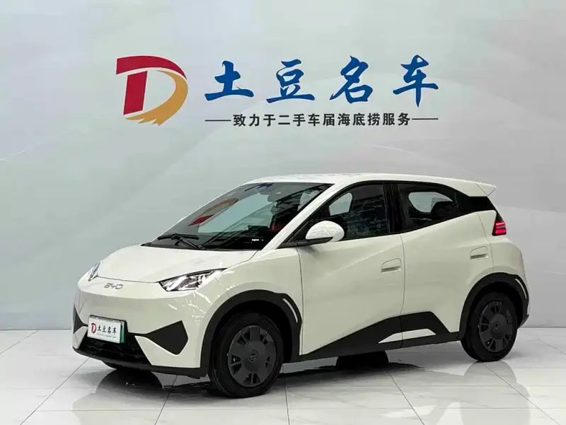 BYD Seagull
