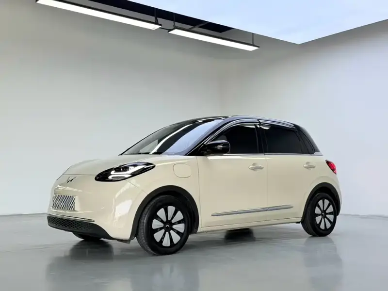 Wuling Bingo