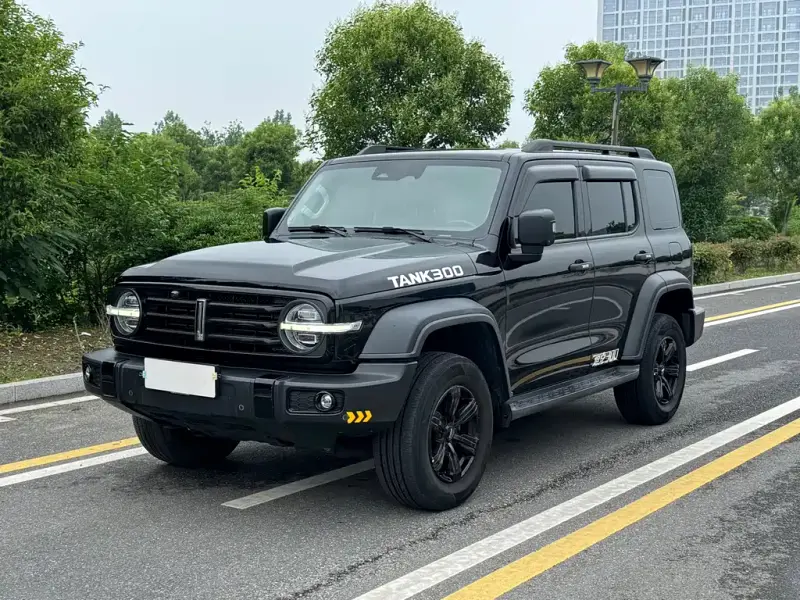 Tank 300