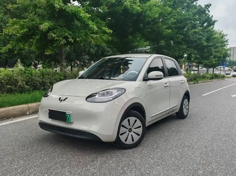 Wuling Bingo