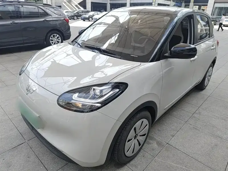 Wuling Bingo