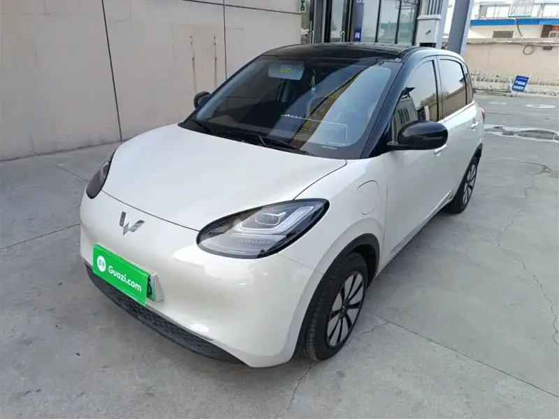 Wuling Bingo