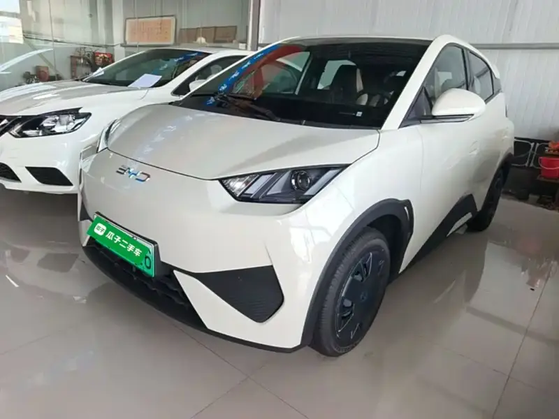 BYD Seagull