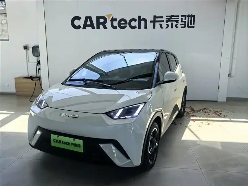 BYD Seagull
