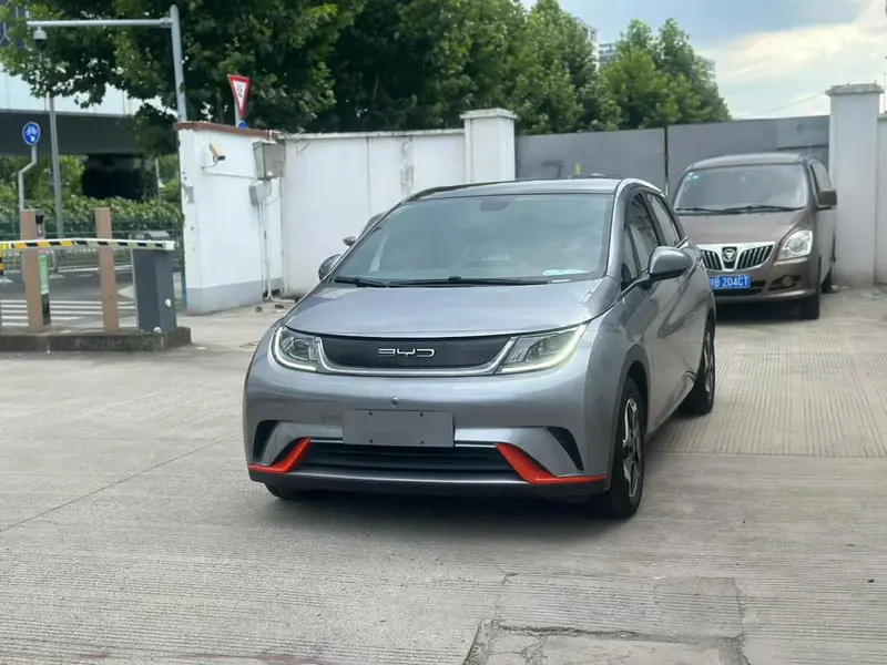 BYD Dolphin