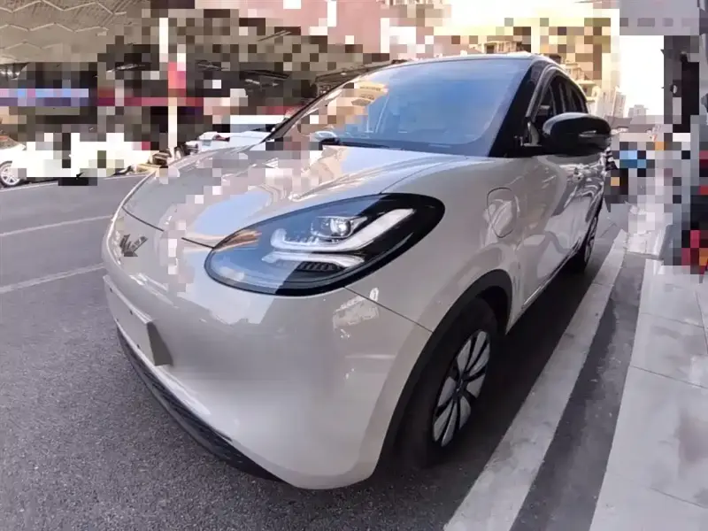 Wuling Bingo